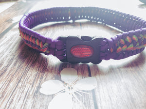 Trilobite Dog Collar Purple & Purple Mix