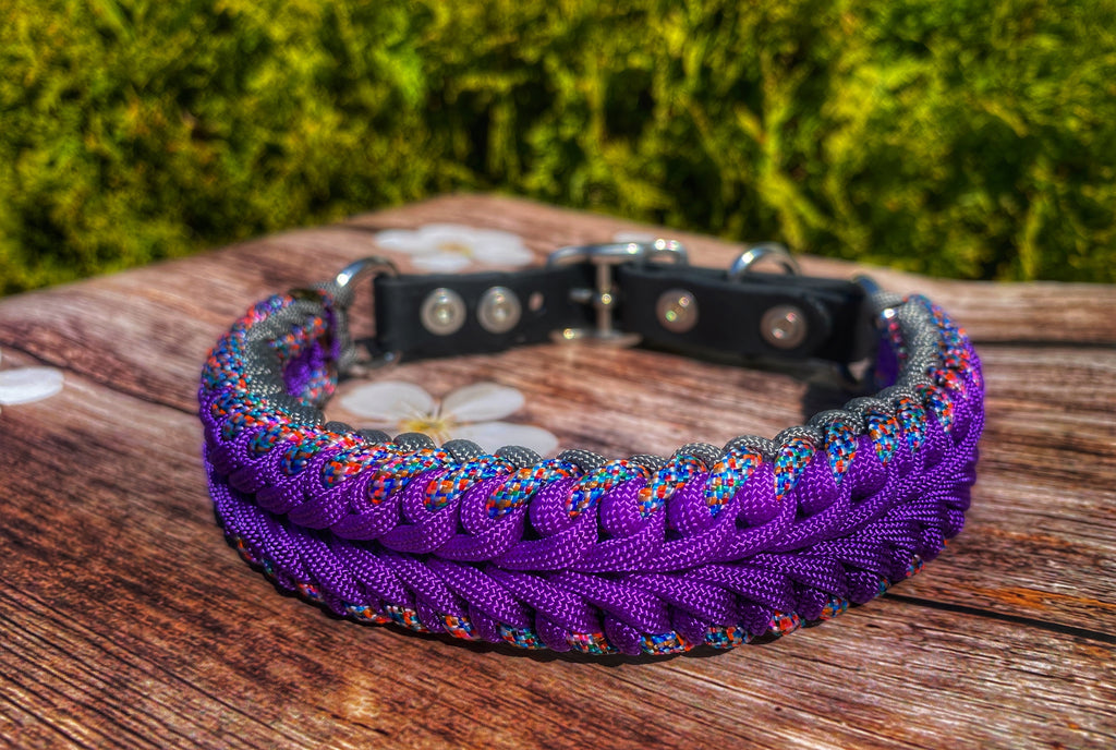 Purple dog collar Medium