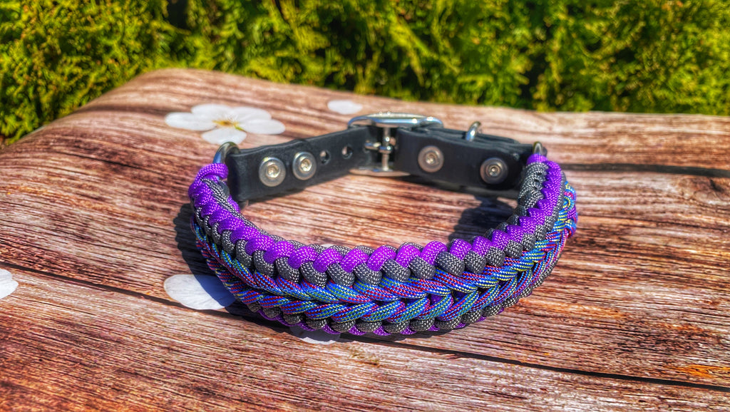 Purple and Grey Small dog collar